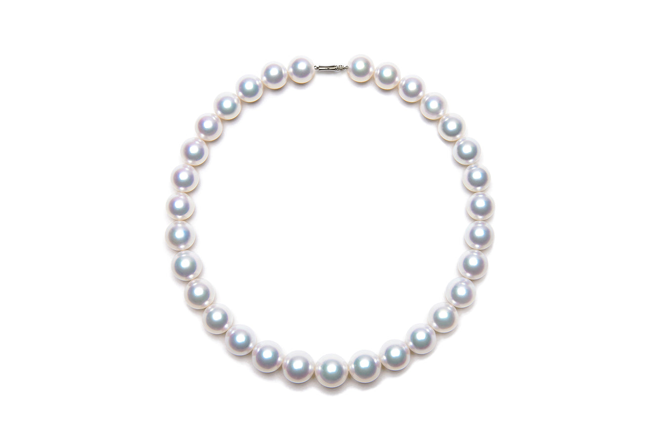 White South Sea Pearls