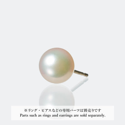 Stud_251016_COLLECTIBLE_04-6_1x1_f9b92a5b-7b59-4d85-804f-b135532561c3 - sCenes
