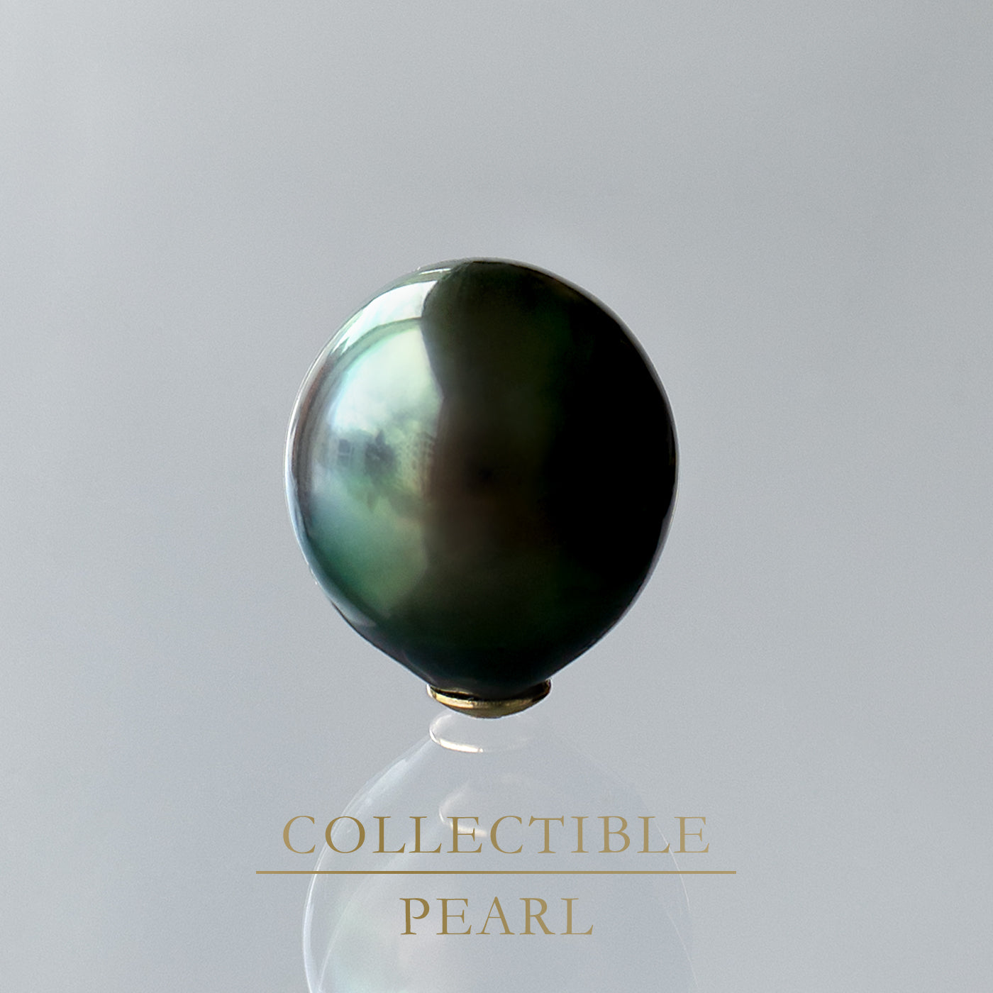 【COLLECTIBLE】Tahitian Pearl (No. ST39314)