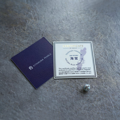 Umihotaru-Card_DSC02810_9410dc86-6543-4f03-a605-c22aa0fb390a - sCenes