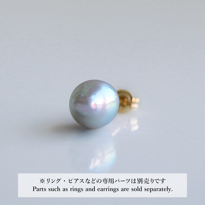 UmihotaruDrop-A_Stud_IMG_4242 - sCenes