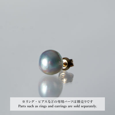 Umihotaru_Stud_DSC05545_1x1_3cb1dd00-f653-4b13-a956-c2a000a4a754 - sCenes