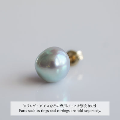 Umihoyaru_Stud_DSC02275_ebe8e9d9-ec19-4d56-b0f9-2fe58a971f5f - sCenes
