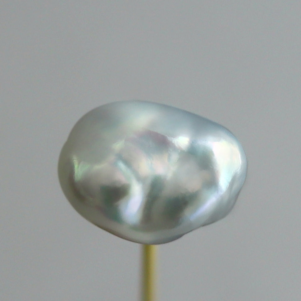 【COLLECTIBLE】South Sea Pearl (No. CS683)