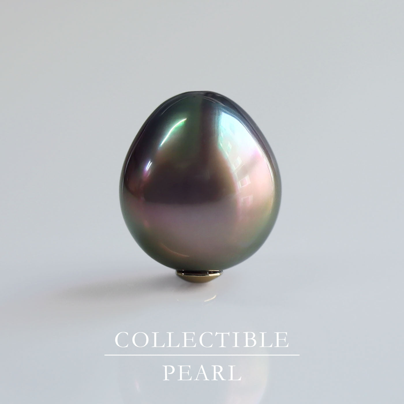 【COLLECTIBLE】Tahitian Pearl (CT31080)