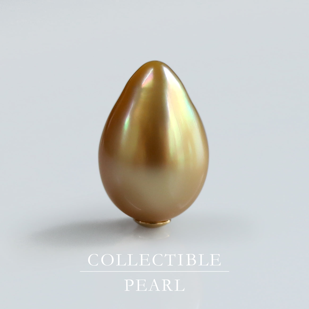 【COLLECTIBLE】Golden South Sea Keshi Pearl  (No. CT68113)