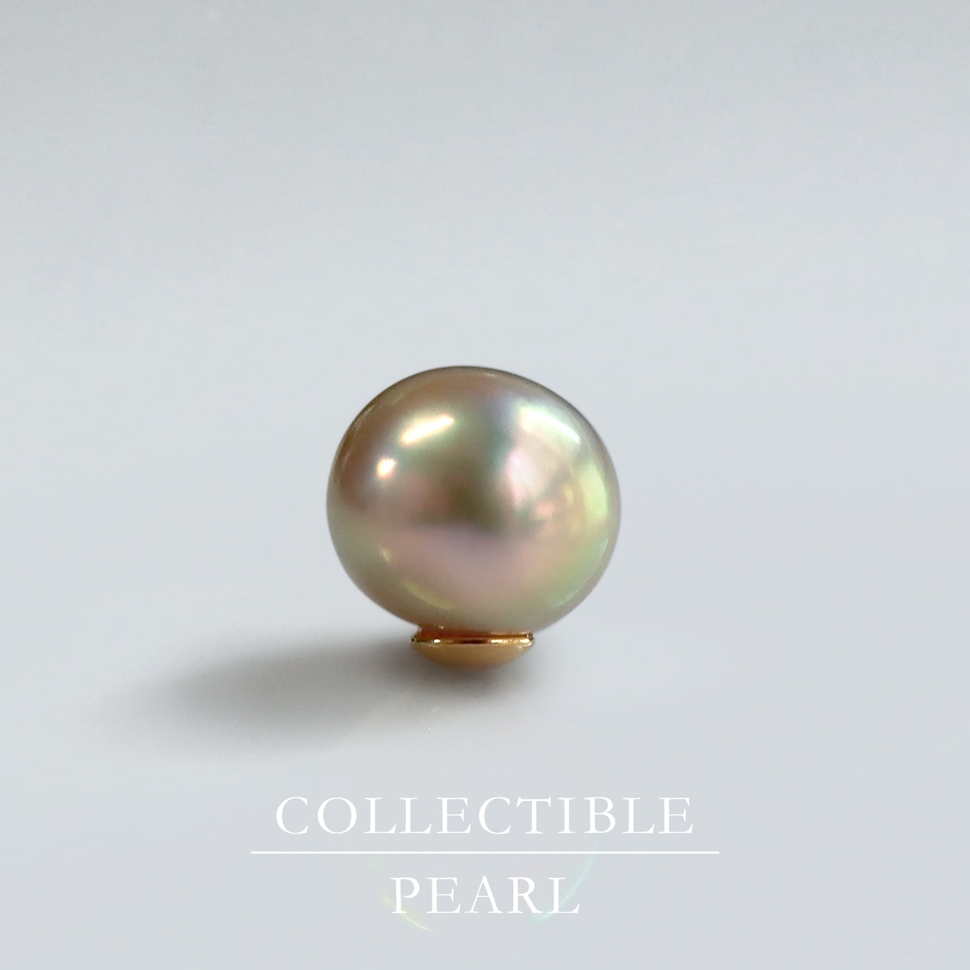 【COLLECTIBLE】Golden South Sea Keshi Pearl  (No. CT66114)