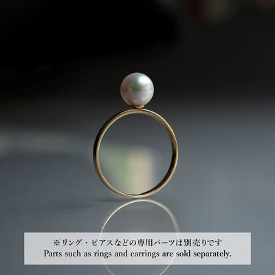 Ring_Stand_IMG_4731 - sCenes
