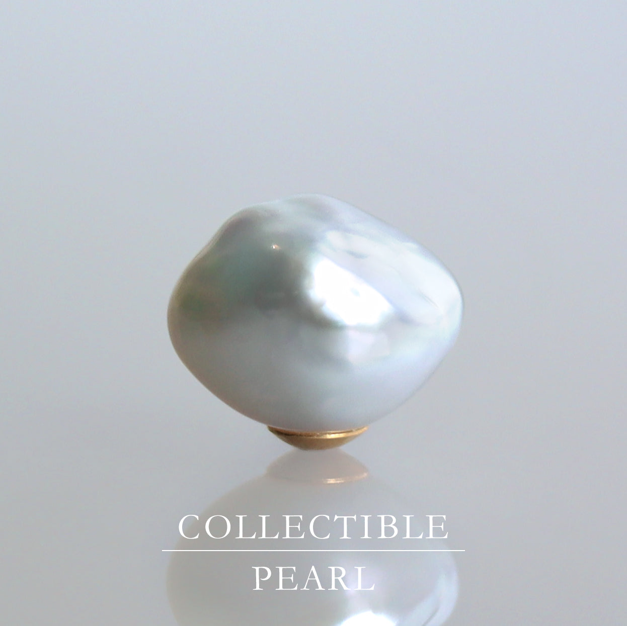 【COLLECTIBLE】South Sea Pearl (No. CS49111)