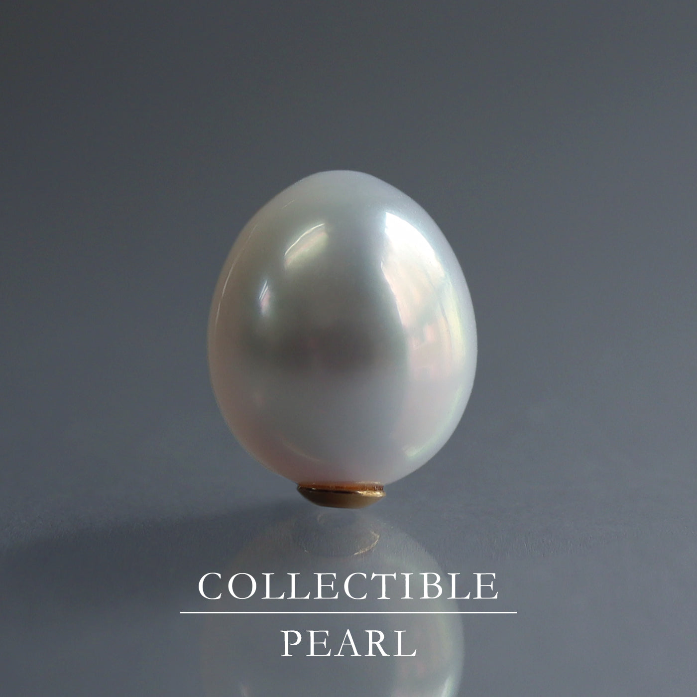 【COLLECTIBLE】South Sea Pearl  (No. CS38110)