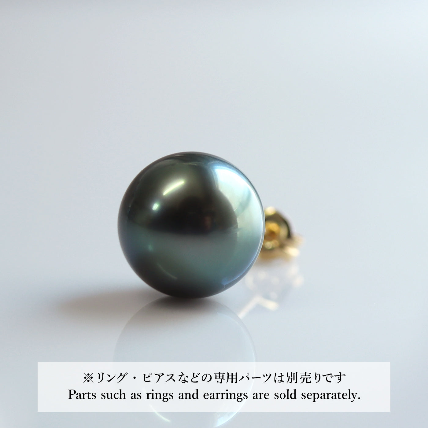 【COLLECTIBLE】 黒蝶パール (No. CT110119)