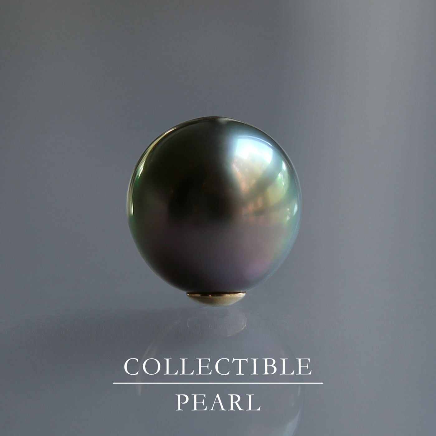 【COLLECTIBLE】Tahitian Pearl (No. CT2839)