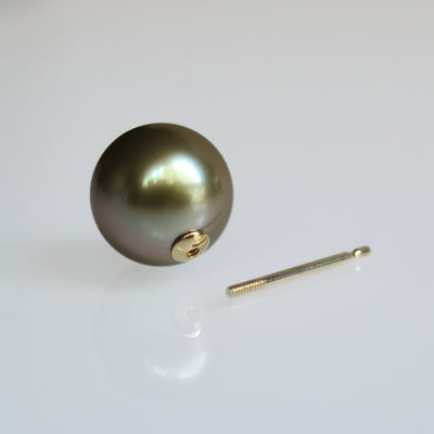 Tahiti_B_Hall_IMG_0061 - sCenes