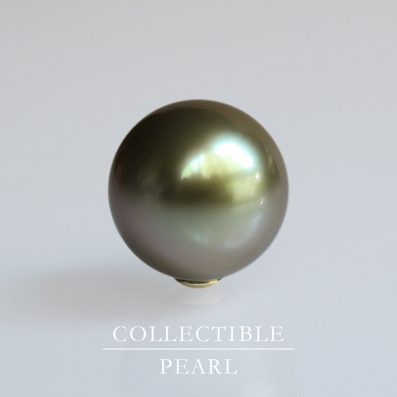 【COLLECTIBLE】Tahitian Pearl (CT11055)