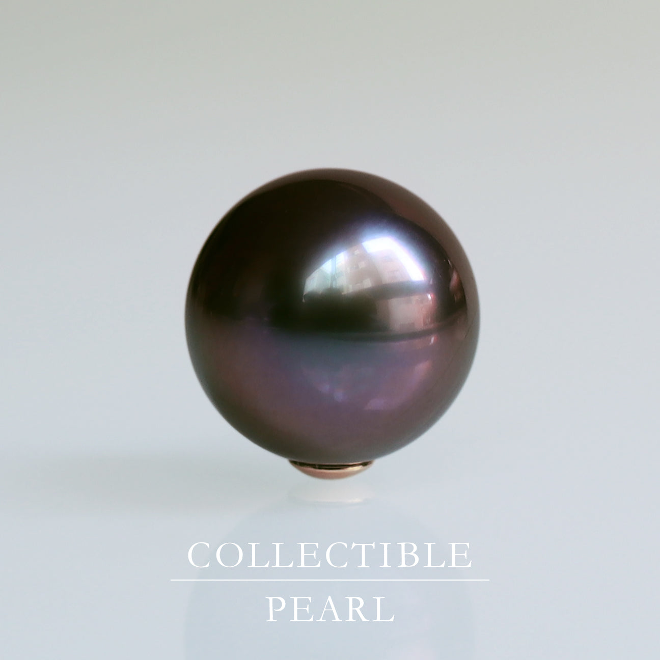 【COLLECTIBLE】Tahitian Pearl (CT11058)