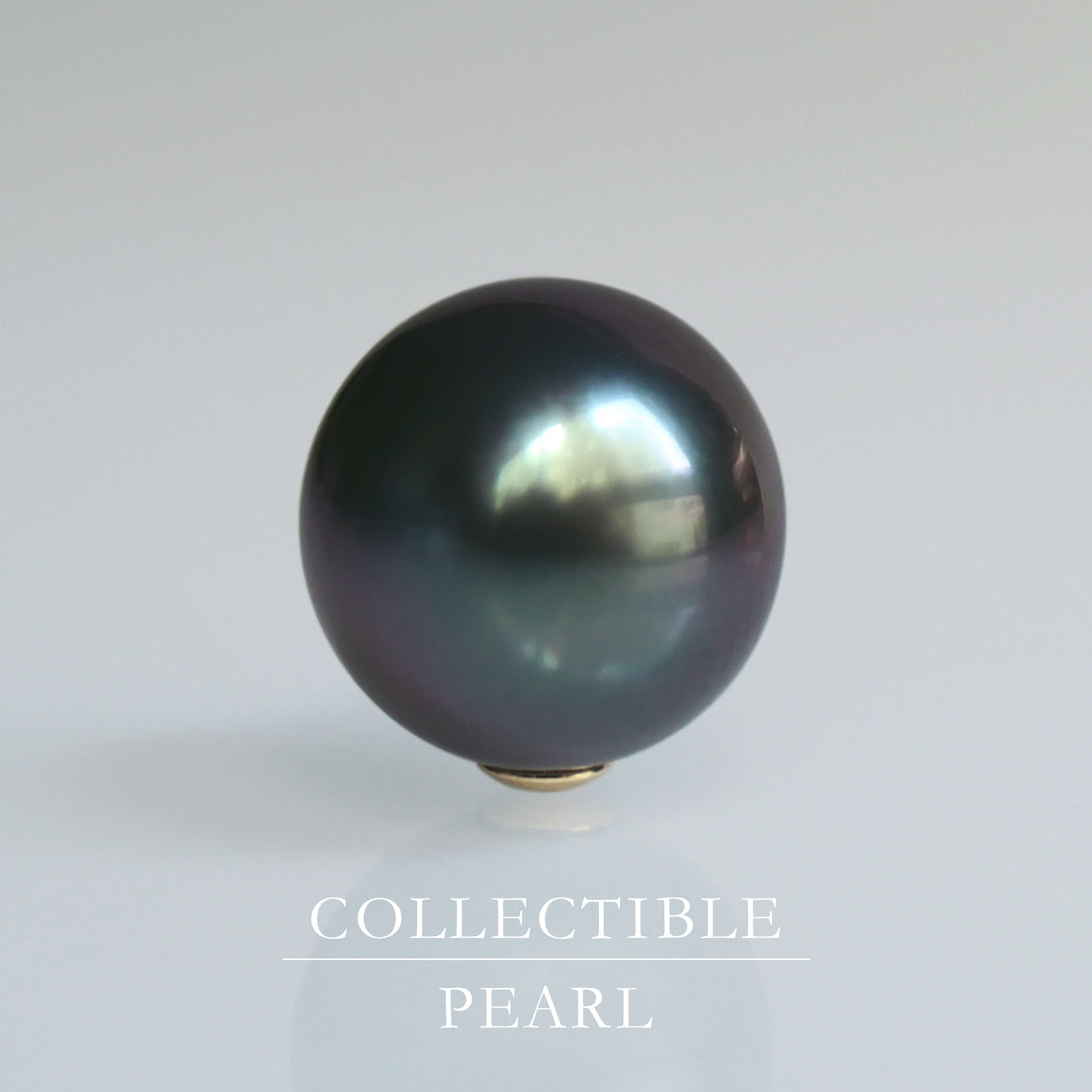 【COLLECTIBLE】Tahitian Pearl (CT11060)