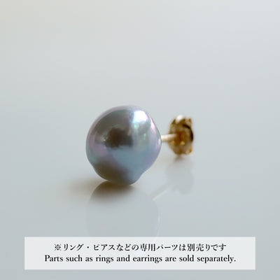 Umihotaru_Post_IMG_1577 - sCenes